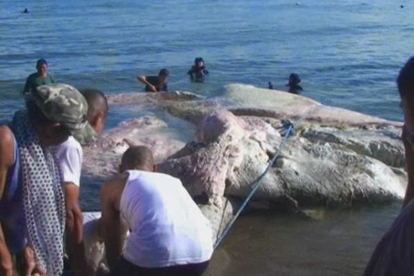 Kraken cc ссылка