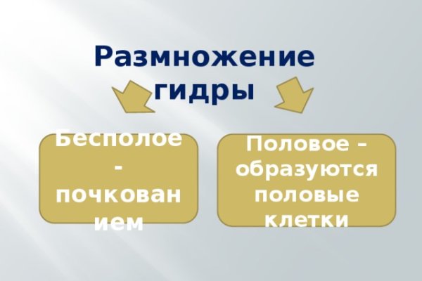 Кракен сайт 1kraken me