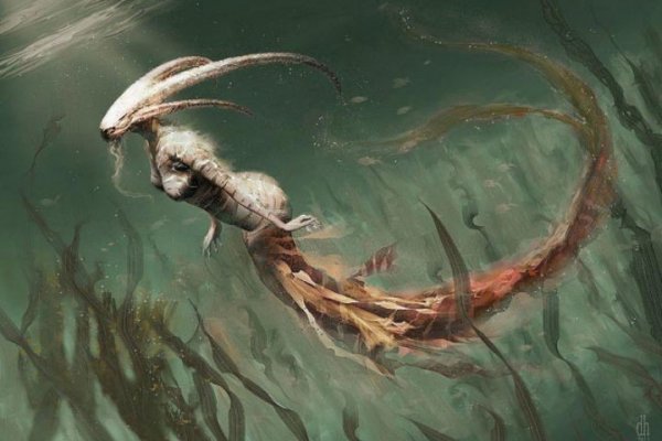 Kraken адрес